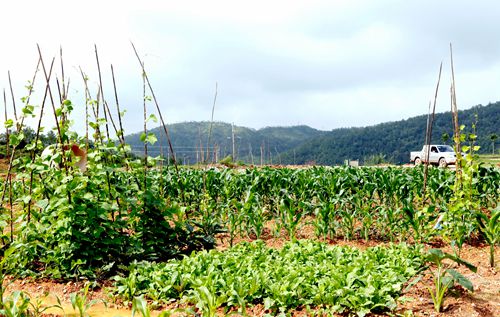 AG真人娱乐- AG真人平台(集团)官方网站