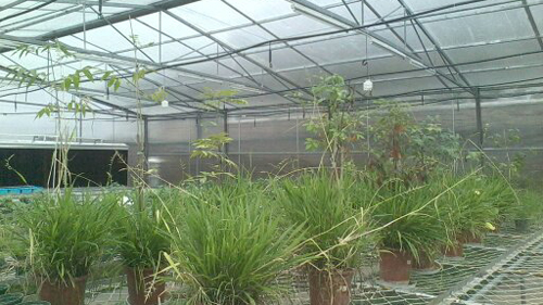 AG真人娱乐- AG真人平台(集团)官方网站