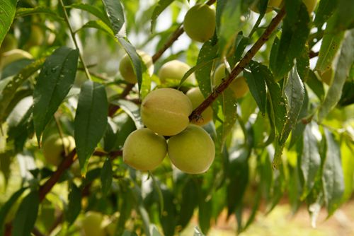 AG真人娱乐- AG真人平台(集团)官方网站