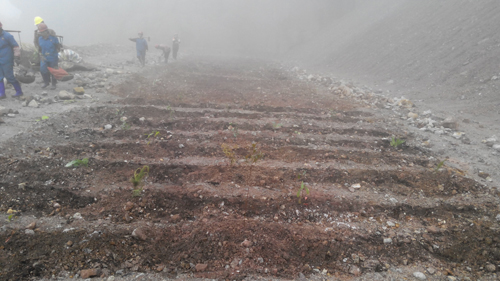 AG真人娱乐- AG真人平台(集团)官方网站