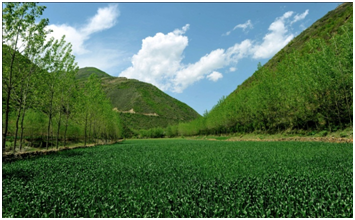 AG真人娱乐- AG真人平台(集团)官方网站