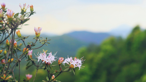 AG真人娱乐- AG真人平台(集团)官方网站