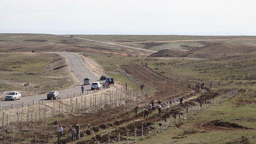 AG真人娱乐- AG真人平台(集团)官方网站