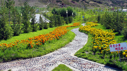 AG真人娱乐- AG真人平台(集团)官方网站