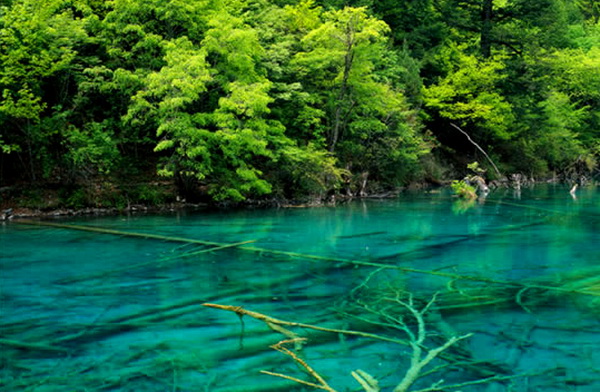 AG真人娱乐- AG真人平台(集团)官方网站