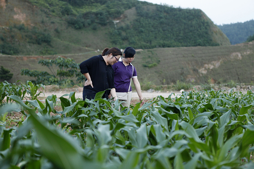 AG真人娱乐- AG真人平台(集团)官方网站