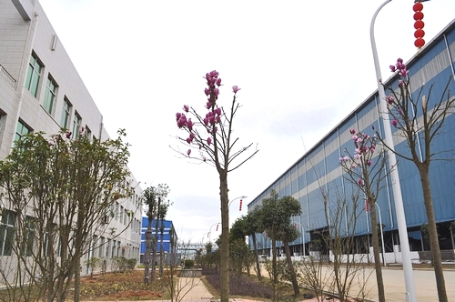 AG真人娱乐- AG真人平台(集团)官方网站