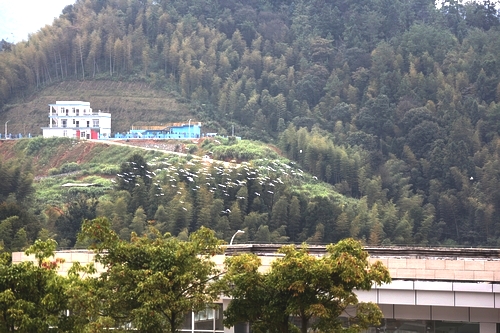 AG真人娱乐- AG真人平台(集团)官方网站