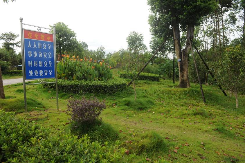 AG真人娱乐- AG真人平台(集团)官方网站