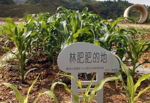 AG真人娱乐- AG真人平台(集团)官方网站