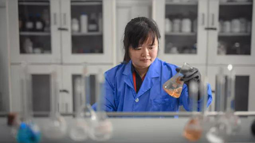 【巾帼风范】谢洪珍：耐得住性子 不输给男子