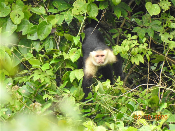 AG真人娱乐矿业的“精灵之约”