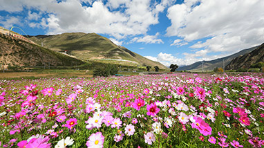 AG真人娱乐- AG真人平台(集团)官方网站