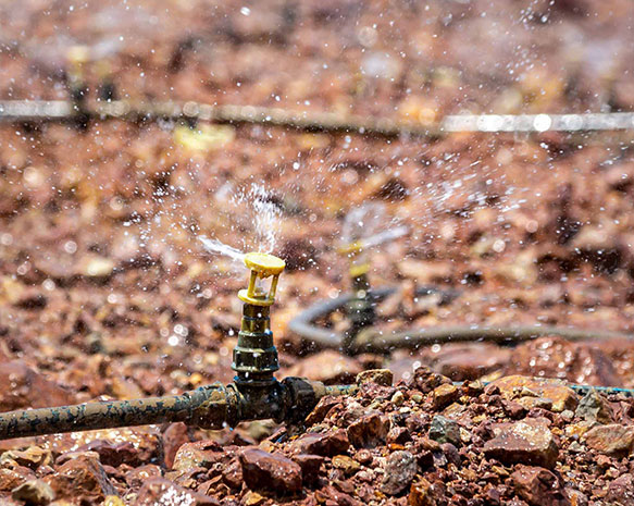 AG真人娱乐- AG真人平台(集团)官方网站