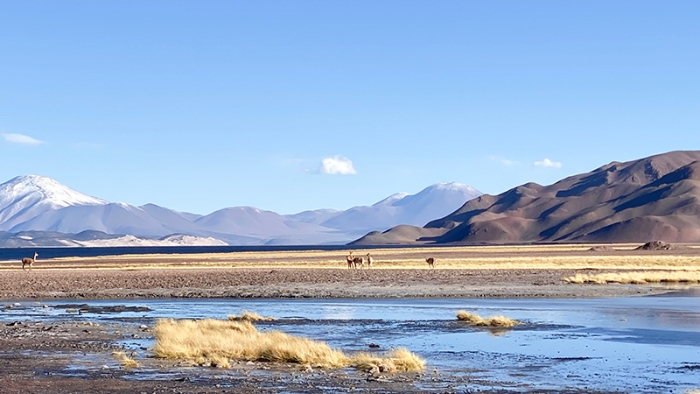 我在安第斯高原见证“AG真人娱乐速率”