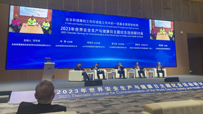 诺顿金田在天下清静生产与康健日钻研会作代表性讲话