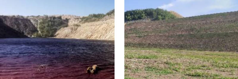 塞尔维亚波尔市水系污染治理效果显著