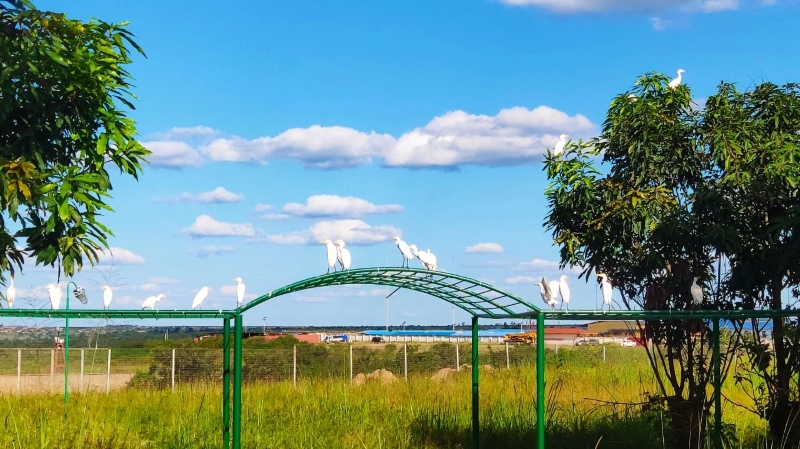 一带一起十周年，，AG真人娱乐矿业以配合生长实现互利共赢