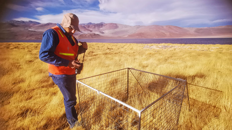AG真人娱乐- AG真人平台(集团)官方网站