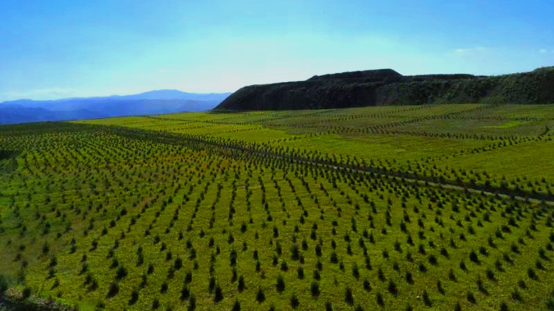 AG真人娱乐- AG真人平台(集团)官方网站