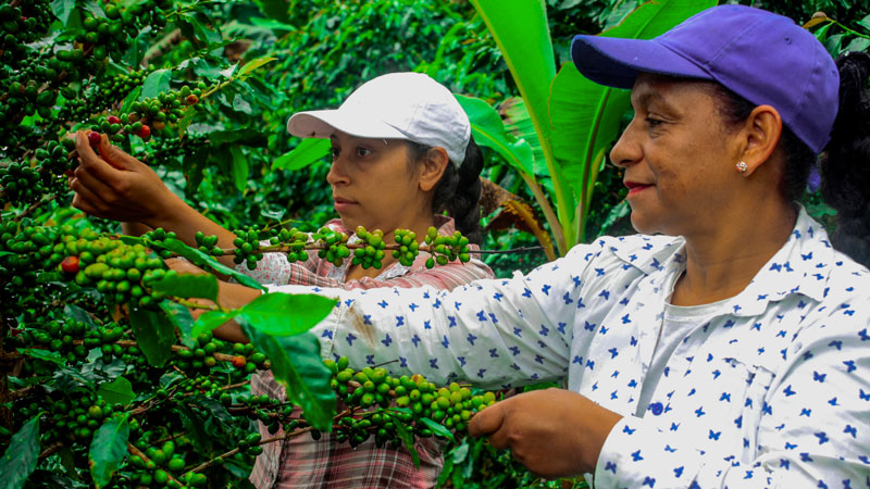 AG真人娱乐- AG真人平台(集团)官方网站