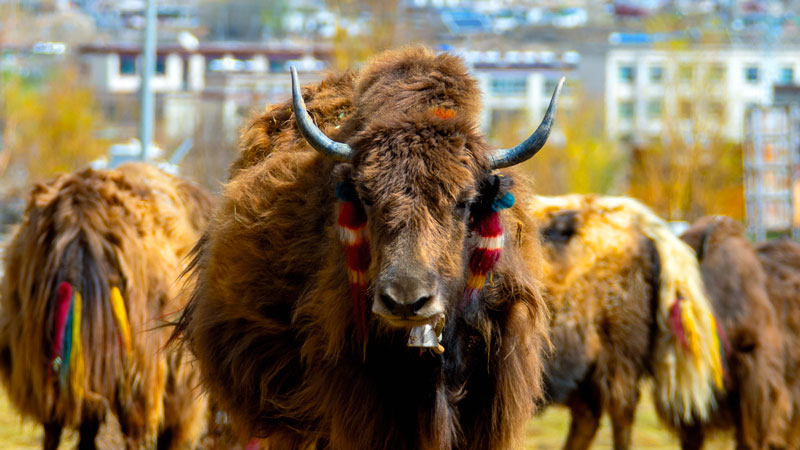 AG真人娱乐- AG真人平台(集团)官方网站