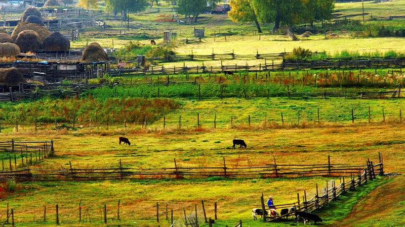 AG真人娱乐- AG真人平台(集团)官方网站