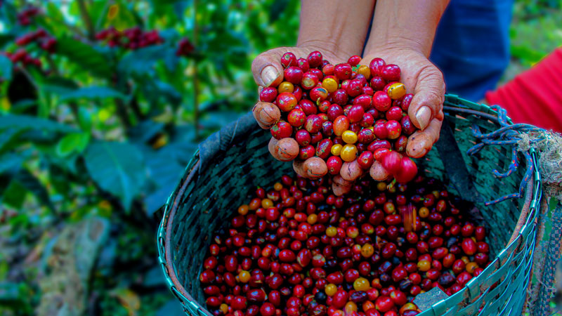 AG真人娱乐- AG真人平台(集团)官方网站