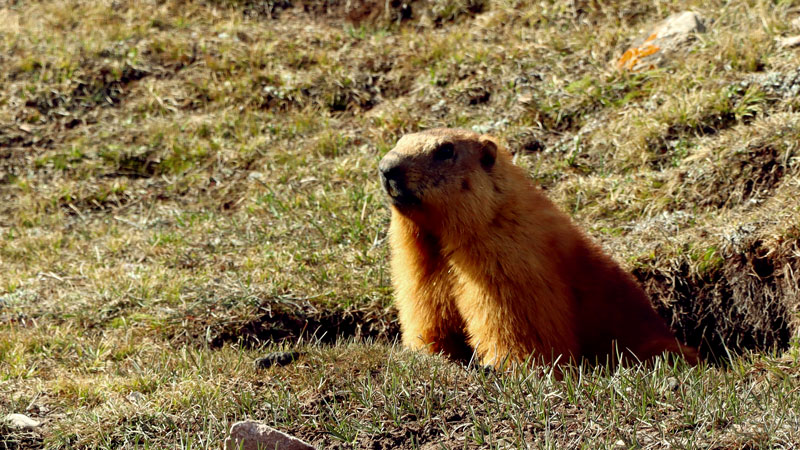 AG真人娱乐- AG真人平台(集团)官方网站