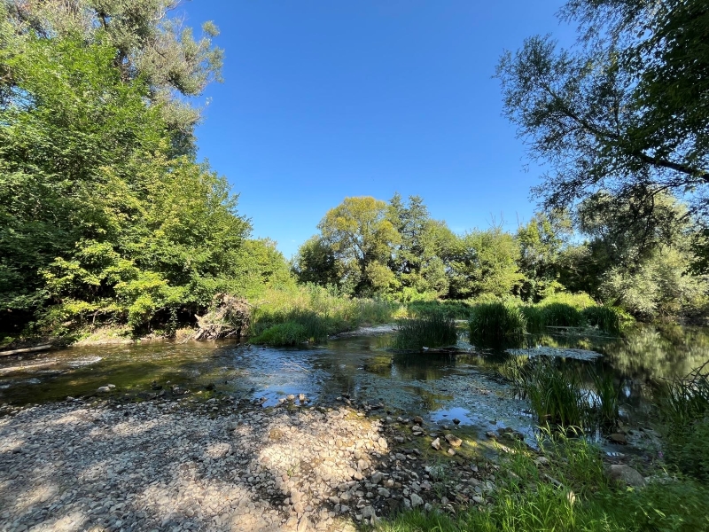 塞尔维亚AG真人娱乐矿业助力社区“母亲河”生气重现