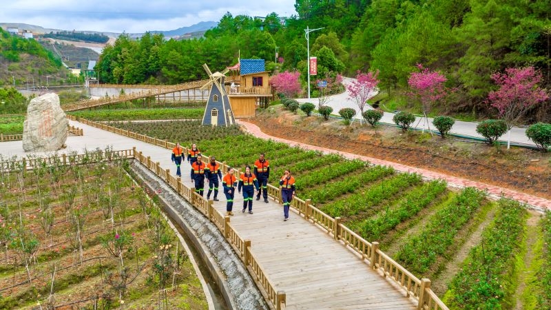 陈景河董事长揭晓2025年新年致辞